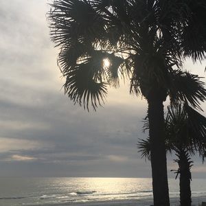 Meet your Posher, Ginny